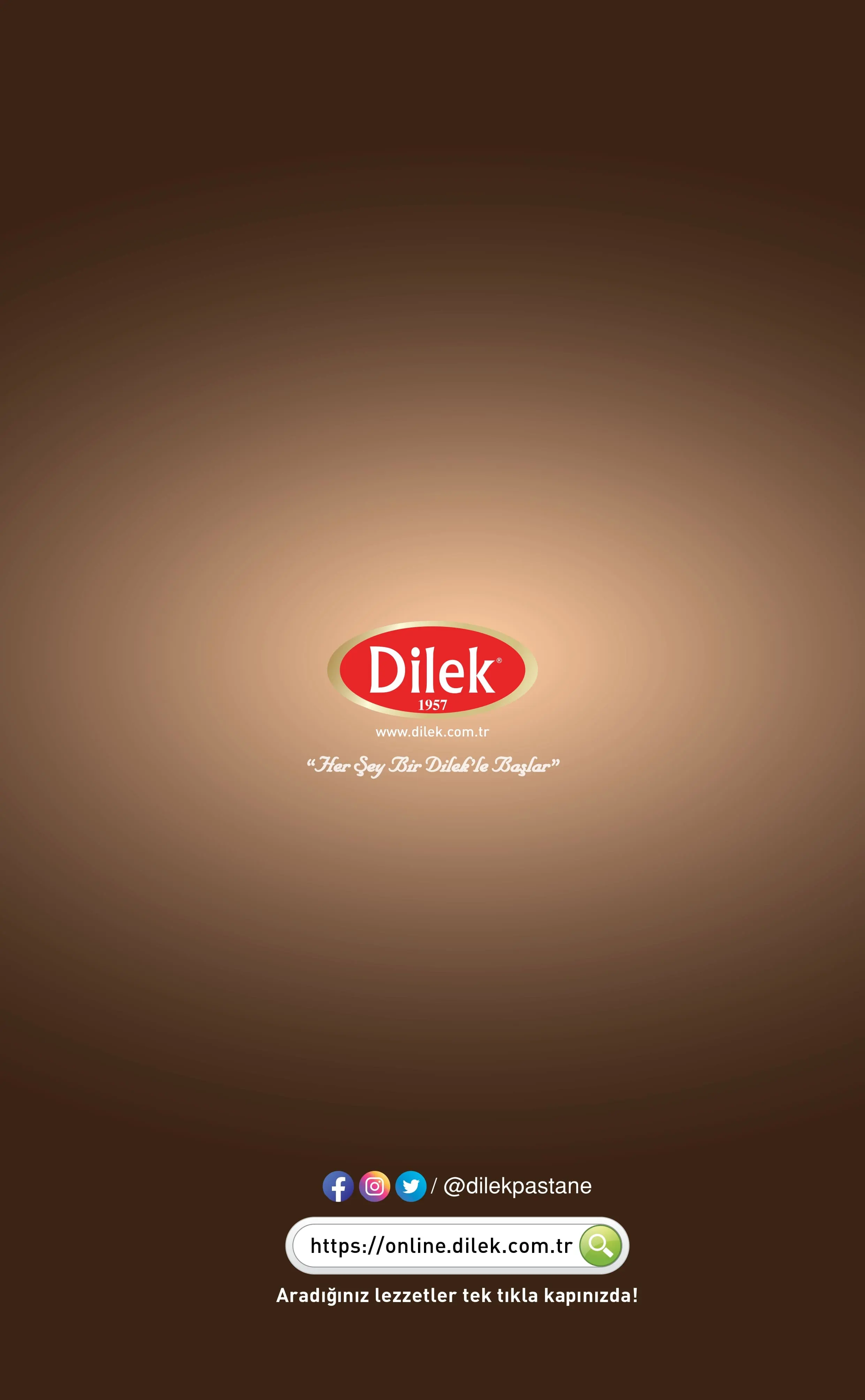 Dilek ürün kataloğu sayfa 77